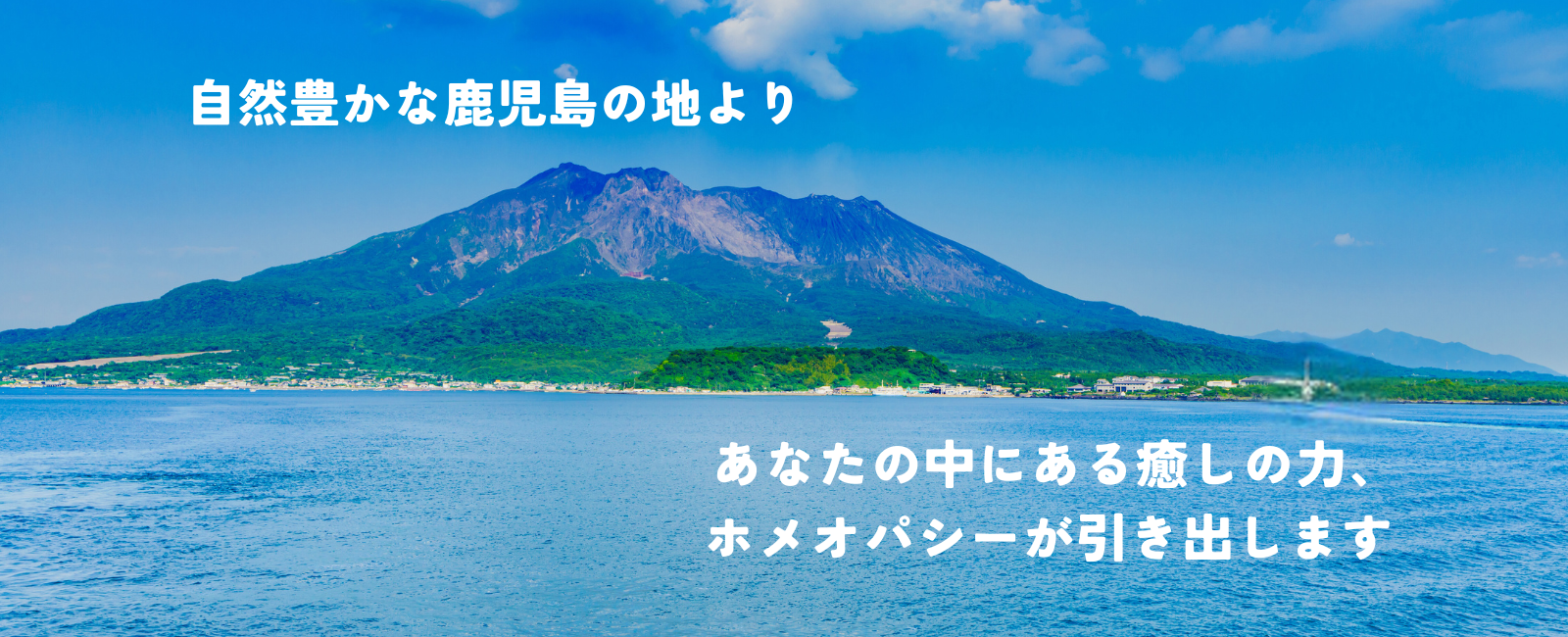 めぐりの家 ロゴ
